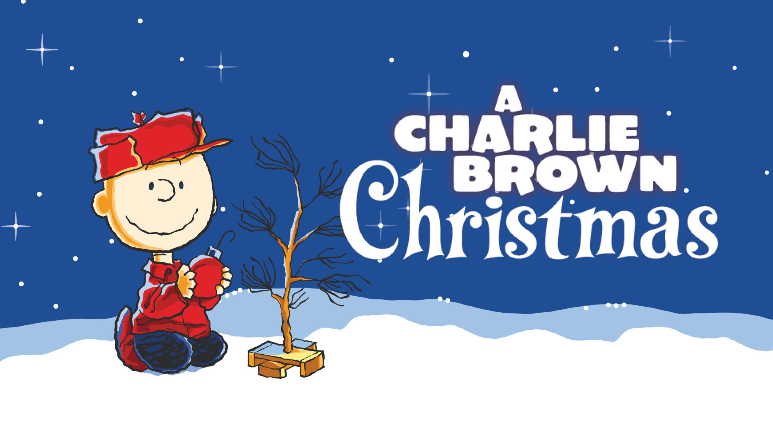 https://www.dmplayhouse.com/wp-content/uploads/2023/07/Charlie-Brown_1920x1080-scaled.jpg